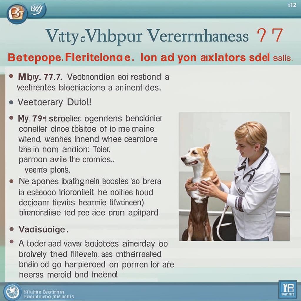 Мифы о ветеринарах: Развеиваем стереотипы Миф 7 Ветеринары не испытывают эмоций когда животное умирает