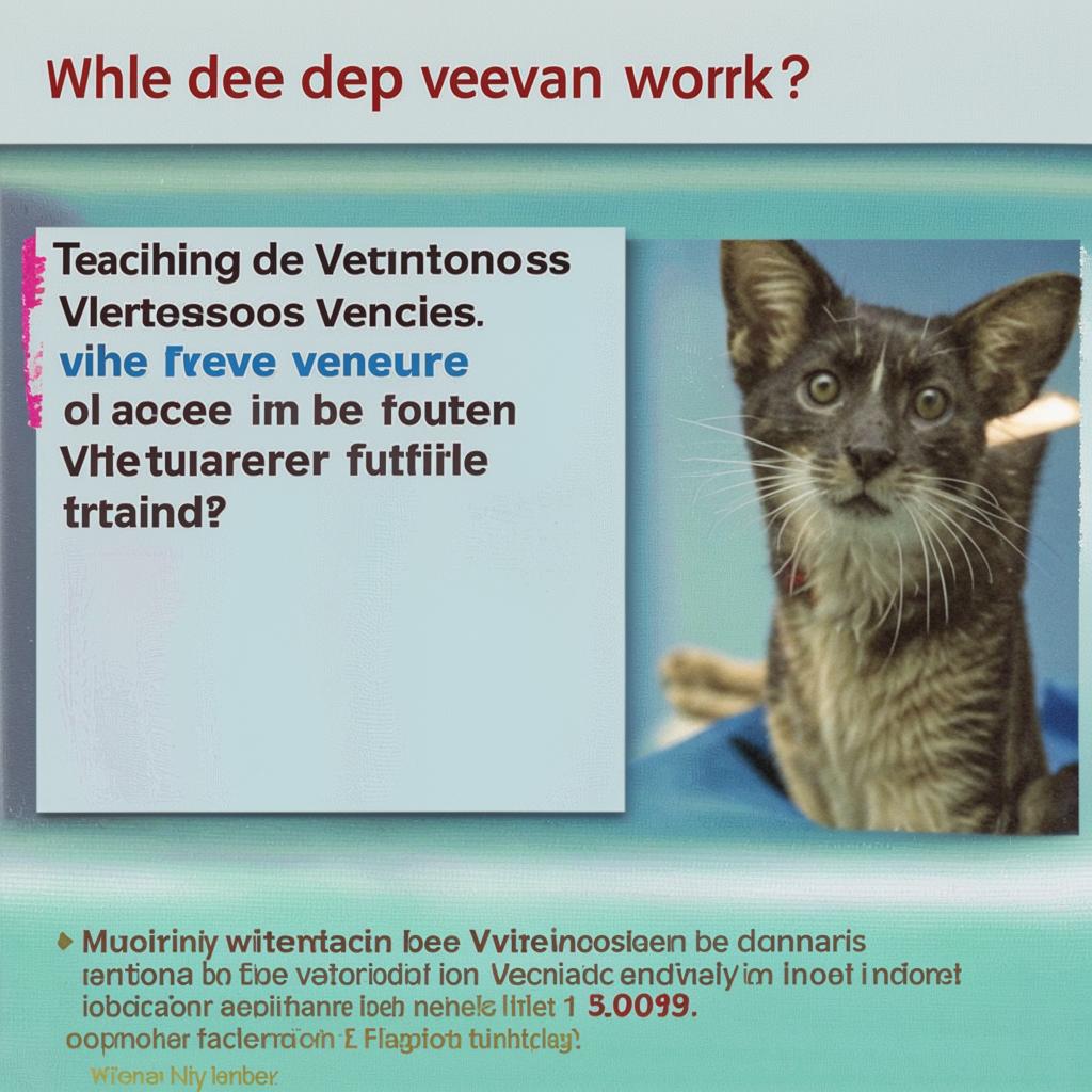 Где Работают Ветеринары? 10 Преподавание в Ветеринарных Вузах  Место Где Учат Будущих Ветеринаров