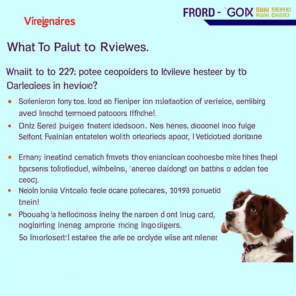 Ветеринар Отзывы На Что Обращать Внимание в Отзывах