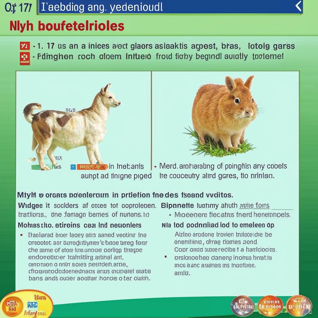 Мифы о ветеринарах: Развеиваем стереотипы Миф 17 Если животное ест траву ему не хватает витаминов