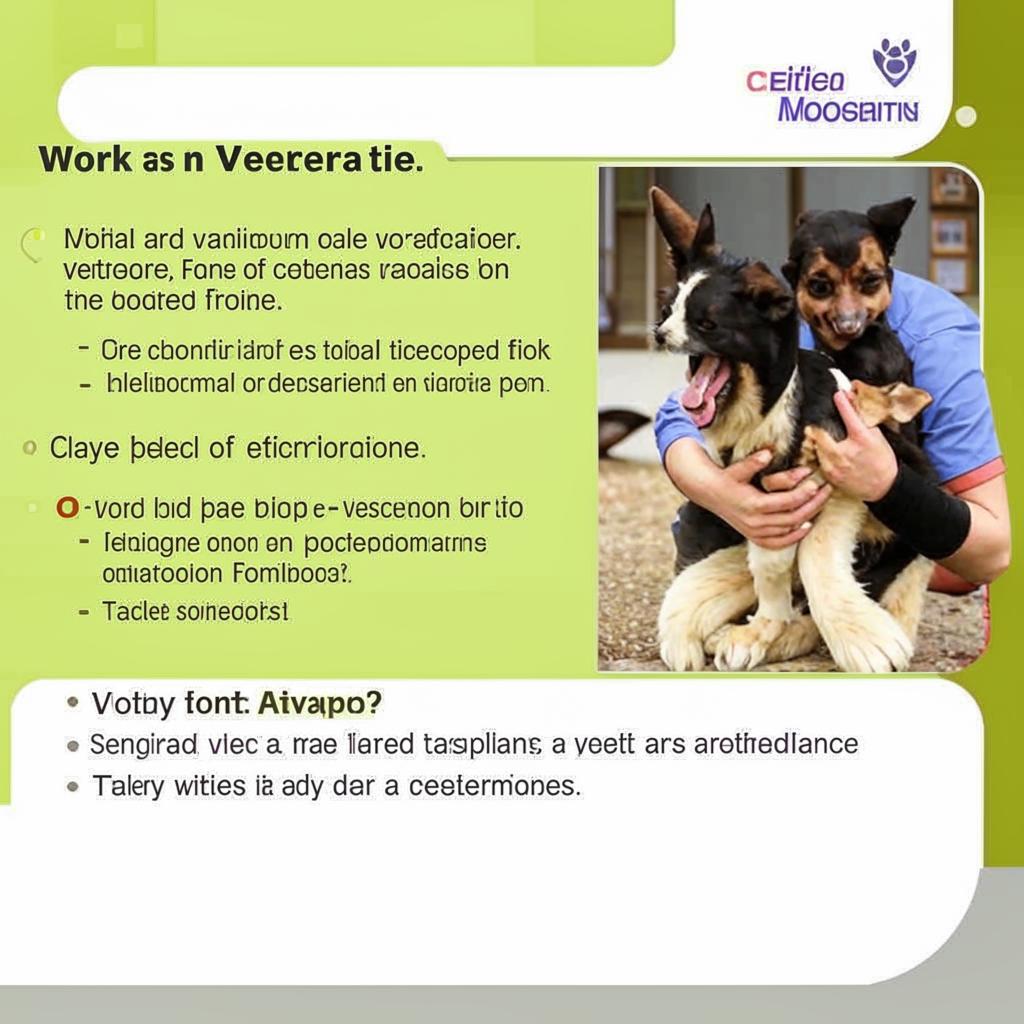Работа ветеринаром Какие бывают вакансии ветеринара