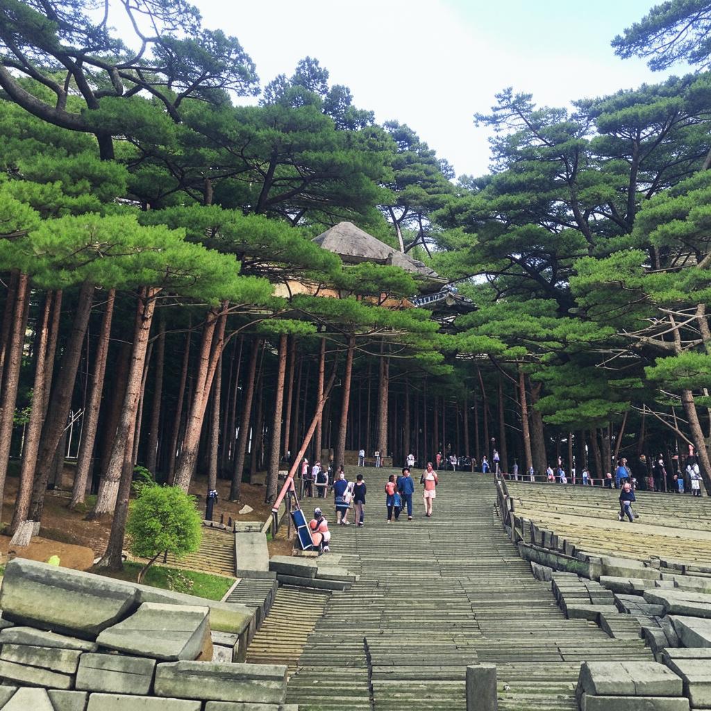 Пхунсан Уход и содержание