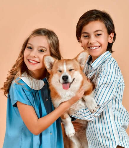 Пациент ветклиники LikeDog — фото 11