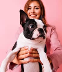 Пациент ветклиники LikeDog — фото 9